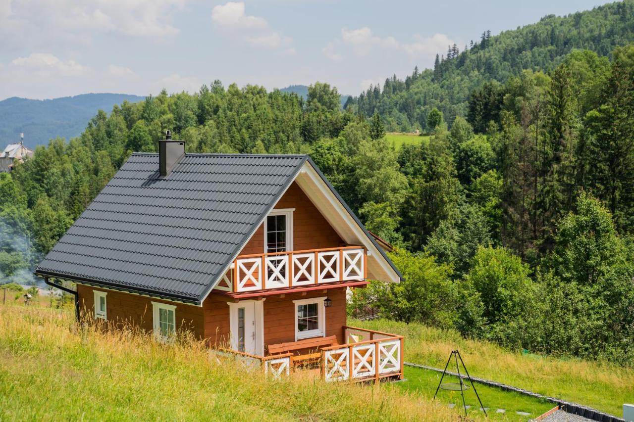 Beskidzki Domek Weichsel Exterior foto