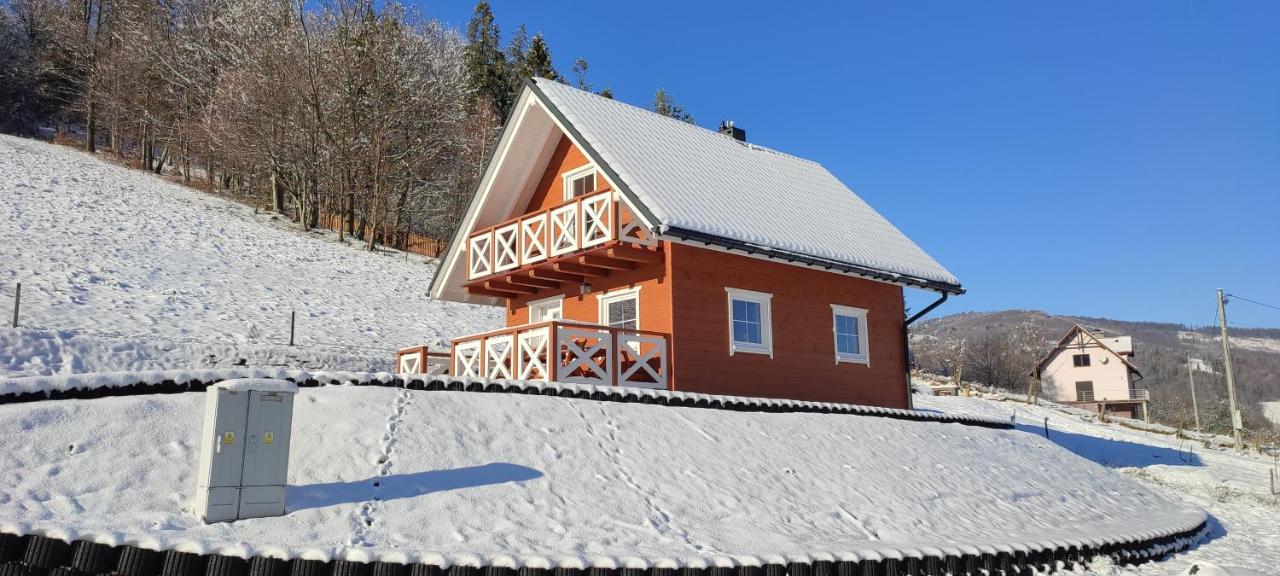 Beskidzki Domek Weichsel Exterior foto
