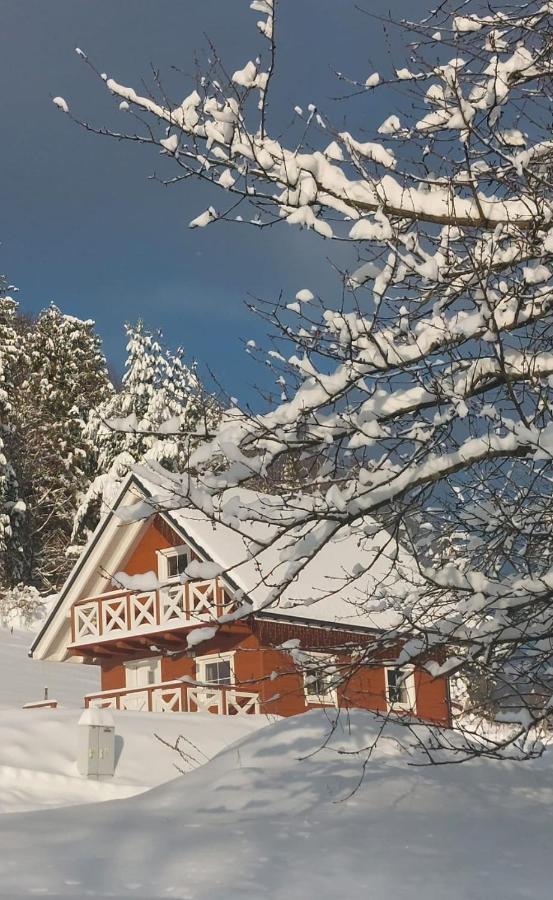 Beskidzki Domek Weichsel Exterior foto